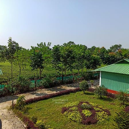Grasshopper Jungle Queen Resort Chālsa Eksteriør bilde