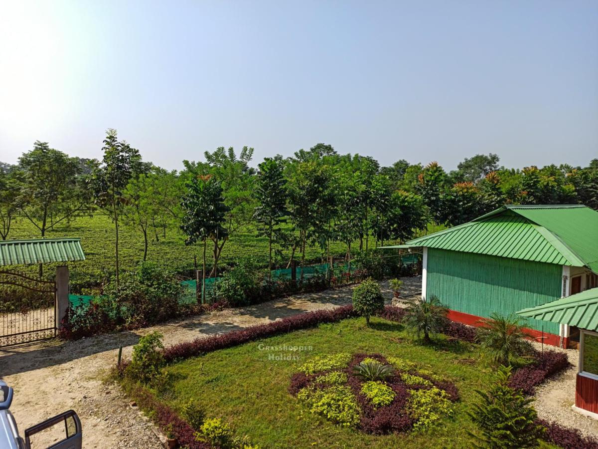 Grasshopper Jungle Queen Resort Chālsa Eksteriør bilde